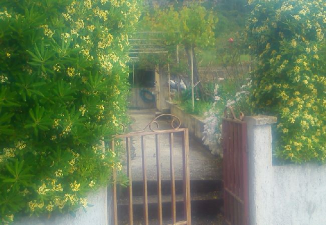 House in Viganj - Holiday Home in Viganj with Seaview, Terrace, WIFI, Washing machine (825-1) House in Viganj - Holiday Home in Viganj with Seaview, Terrace, WIFI, Washing machine (825-1)
