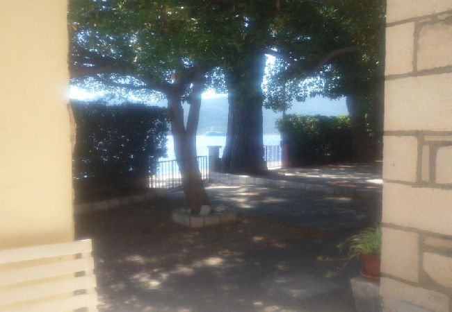 House in Viganj - Holiday Home in Viganj with Seaview, Terrace, WIFI, Washing machine (825-1) House in Viganj - Holiday Home in Viganj with Seaview, Terrace, WIFI, Washing machine (825-1)