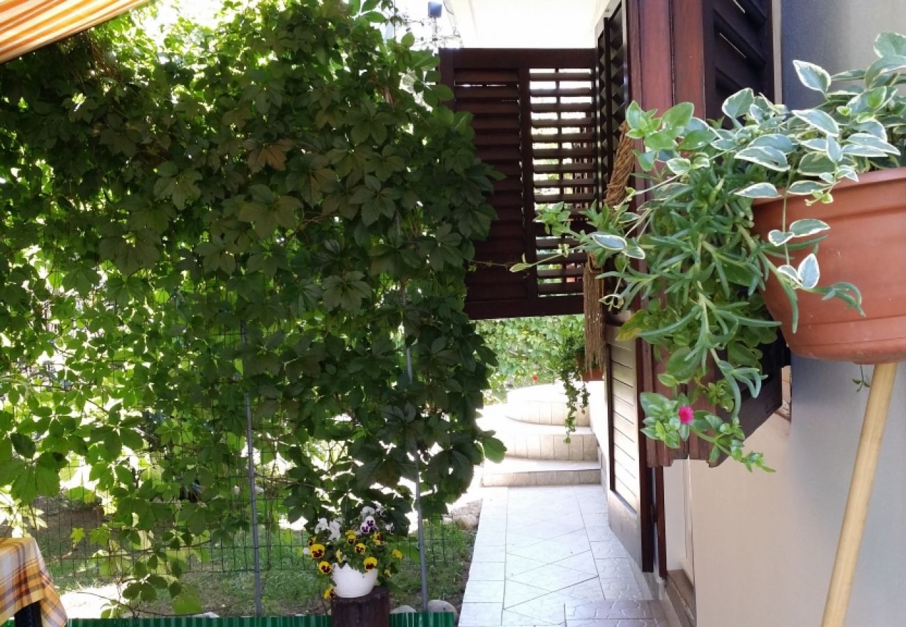 Studio in Privlaka - Studio apartment in Sabunike with Terrace, Air condition, WIFI (231-3)