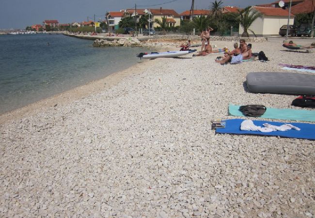 Apartment in Bibinje - Apartment in Bibinje with Terrace, Air condition, WIFI, Washing machine (877-1) Apartment in Bibinje - Apartment in Bibinje with Terrace, Air condition, WIFI, Washing machine (877-1)