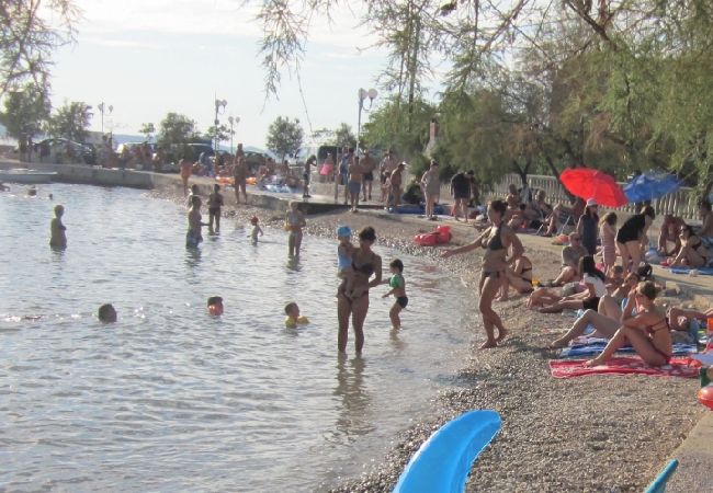 Apartment in Bibinje - Apartment in Bibinje with Terrace, Air condition, WIFI, Washing machine (877-1) Apartment in Bibinje - Apartment in Bibinje with Terrace, Air condition, WIFI, Washing machine (877-1)