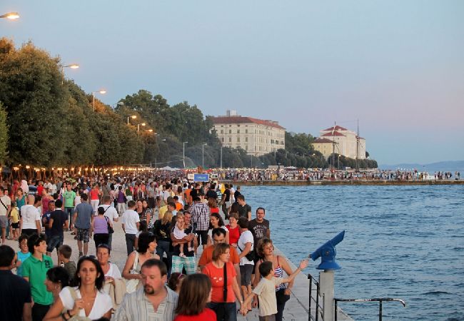 Apartment in Bibinje - Apartment in Bibinje with Terrace, Air condition, WIFI, Washing machine (877-1) Apartment in Bibinje - Apartment in Bibinje with Terrace, Air condition, WIFI, Washing machine (877-1)