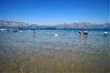 Apartment in Lumbarda - Apartment in Lumbarda with Seaview, Terrace, WIFI, Washing machine (869-3) Apartment in Lumbarda - Apartment in Lumbarda with Seaview, Terrace, WIFI, Washing machine (869-3)