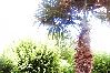 Apartment in Baška - Apartment in Baška with Terrace, Air condition, WIFI (883-2) Apartment in Baška - Apartment in Baška with Terrace, Air condition, WIFI (883-2)