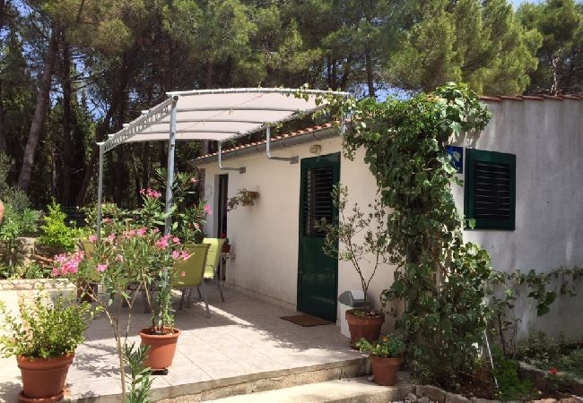 Studio in Veli Rat - Studio apartment in Veli Rat with Seaview, Balcony, Washing machine (882-1) Studio in Veli Rat - Studio apartment in Veli Rat with Seaview, Balcony, Washing machine (882-1)