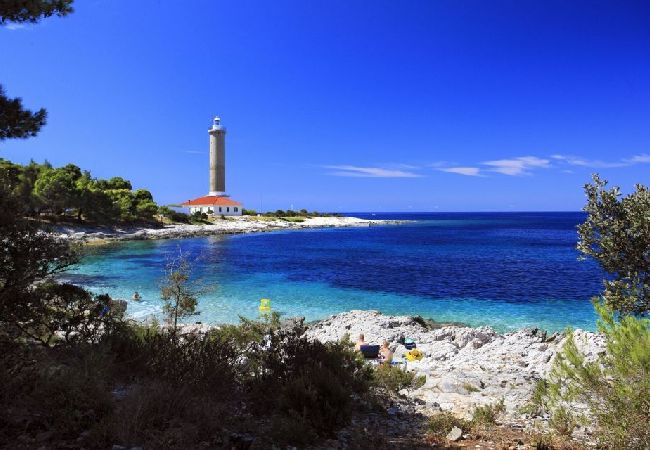 Studio in Veli Rat - Studio apartment in Veli Rat with Seaview, Balcony, Washing machine (882-1) Studio in Veli Rat - Studio apartment in Veli Rat with Seaview, Balcony, Washing machine (882-1)