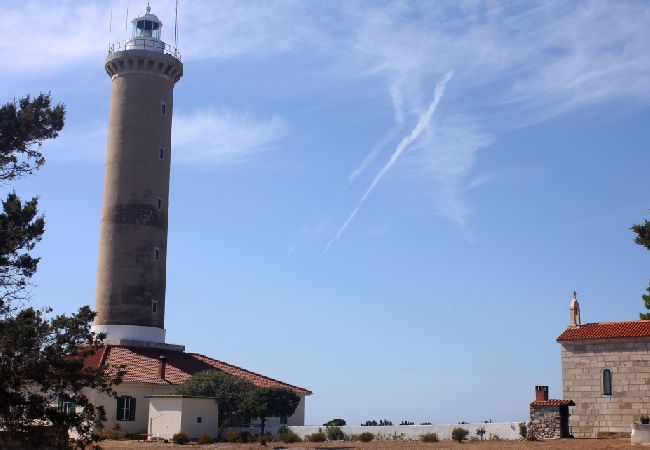 Studio in Veli Rat - Studio apartment in Veli Rat with Seaview, Balcony, Washing machine (882-1) Studio in Veli Rat - Studio apartment in Veli Rat with Seaview, Balcony, Washing machine (882-1)