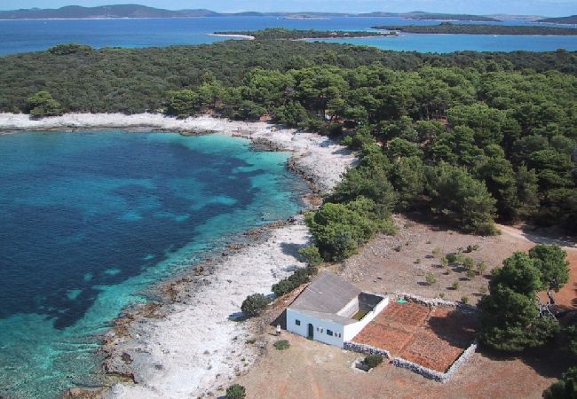 Studio in Veli Rat - Studio apartment in Veli Rat with Seaview, Balcony, Washing machine (882-1) Studio in Veli Rat - Studio apartment in Veli Rat with Seaview, Balcony, Washing machine (882-1)