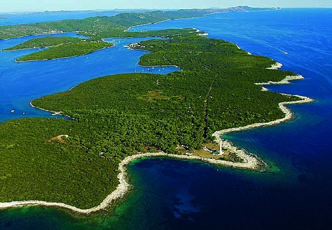 Studio in Veli Rat - Studio apartment in Veli Rat with Seaview, Balcony, Washing machine (882-1) Studio in Veli Rat - Studio apartment in Veli Rat with Seaview, Balcony, Washing machine (882-1)