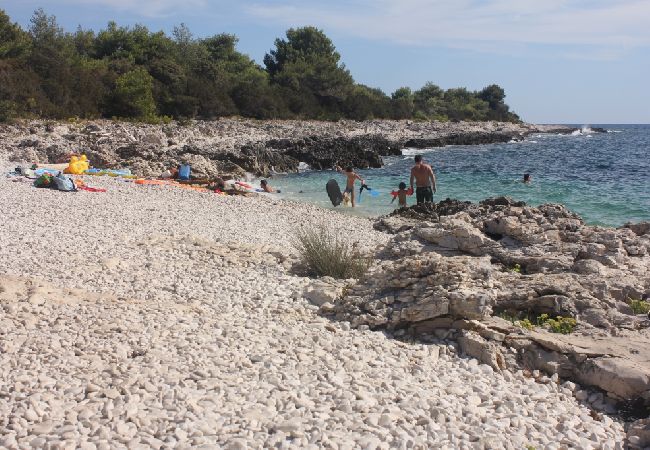 Studio in Veli Rat - Studio apartment in Veli Rat with Seaview, Balcony, Washing machine (882-1) Studio in Veli Rat - Studio apartment in Veli Rat with Seaview, Balcony, Washing machine (882-1)