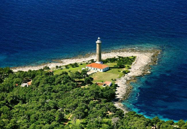 Studio in Veli Rat - Studio apartment in Veli Rat with Seaview, Balcony, Washing machine (882-1) Studio in Veli Rat - Studio apartment in Veli Rat with Seaview, Balcony, Washing machine (882-1)