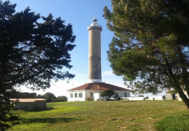 Studio in Veli Rat - Studio apartment in Veli Rat with Seaview, Balcony, Washing machine (882-1) Studio in Veli Rat - Studio apartment in Veli Rat with Seaview, Balcony, Washing machine (882-1)