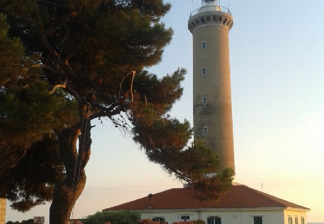 Studio in Veli Rat - Studio apartment in Veli Rat with Seaview, Balcony, Washing machine (882-1) Studio in Veli Rat - Studio apartment in Veli Rat with Seaview, Balcony, Washing machine (882-1)