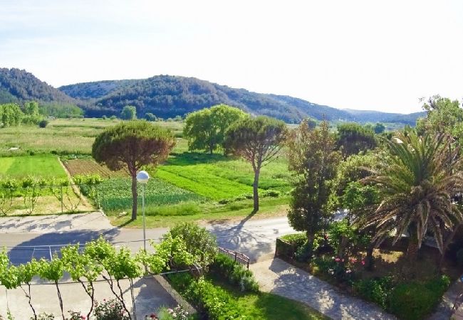 Apartment in Lopar - Apartment in Lopar with Balcony, Air condition, WIFI, Washing machine (893-1) Apartment in Lopar - Apartment in Lopar with Balcony, Air condition, WIFI, Washing machine (893-1)