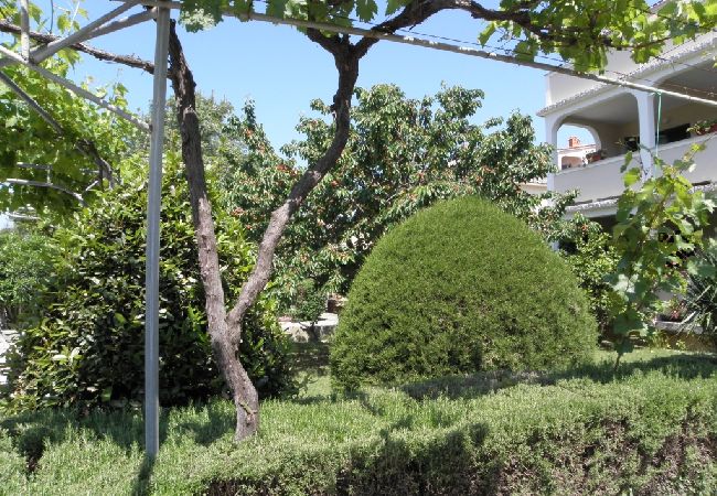 Apartment in Lopar - Apartment in Lopar with Balcony, Air condition, WIFI, Washing machine (893-1) Apartment in Lopar - Apartment in Lopar with Balcony, Air condition, WIFI, Washing machine (893-1)