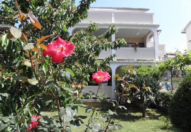 Apartment in Lopar - Apartment in Lopar with Terrace, Air condition, WIFI, Washing machine (893-2) Apartment in Lopar - Apartment in Lopar with Terrace, Air condition, WIFI, Washing machine (893-2)