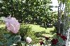 Apartment in Lopar - Apartment in Lopar with Terrace, Air condition, WIFI, Washing machine (893-2) Apartment in Lopar - Apartment in Lopar with Terrace, Air condition, WIFI, Washing machine (893-2)