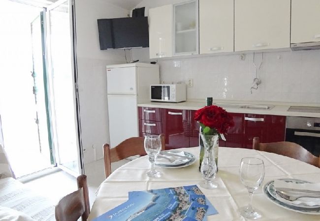 Apartment in Lopar - Apartment in Lopar with Terrace, Air condition, WIFI, Washing machine (893-3) Apartment in Lopar - Apartment in Lopar with Terrace, Air condition, WIFI, Washing machine (893-3)