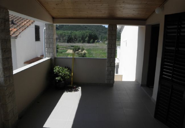 Apartment in Lopar - Apartment in Lopar with Terrace, Air condition, WIFI, Washing machine (893-4) Apartment in Lopar - Apartment in Lopar with Terrace, Air condition, WIFI, Washing machine (893-4)