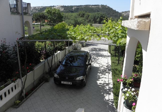 Apartment in Lopar - Apartment in Lopar with Terrace, Air condition, WIFI, Washing machine (893-4) Apartment in Lopar - Apartment in Lopar with Terrace, Air condition, WIFI, Washing machine (893-4)