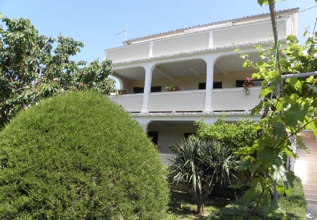 Apartment in Lopar - Apartment in Lopar with Terrace, Air condition, WIFI, Washing machine (893-4) Apartment in Lopar - Apartment in Lopar with Terrace, Air condition, WIFI, Washing machine (893-4)