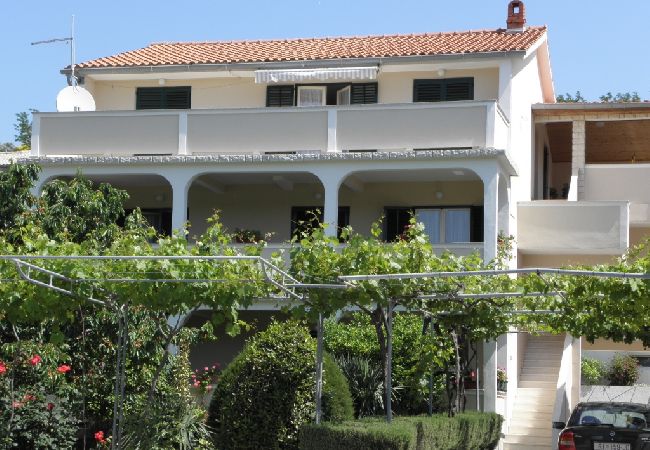 Apartment in Lopar - Apartment in Lopar with Terrace, Air condition, WIFI, Washing machine (893-4) Apartment in Lopar - Apartment in Lopar with Terrace, Air condition, WIFI, Washing machine (893-4)