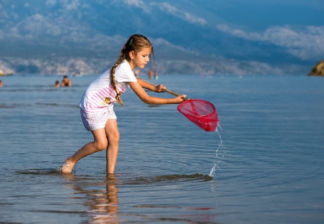 Apartment in Lopar - Apartment in Lopar with Terrace, Air condition, WIFI, Washing machine (893-4) Apartment in Lopar - Apartment in Lopar with Terrace, Air condition, WIFI, Washing machine (893-4)