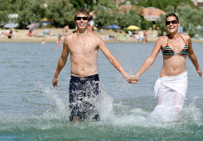 Apartment in Lopar - Apartment in Lopar with Terrace, Air condition, WIFI, Washing machine (893-4) Apartment in Lopar - Apartment in Lopar with Terrace, Air condition, WIFI, Washing machine (893-4)