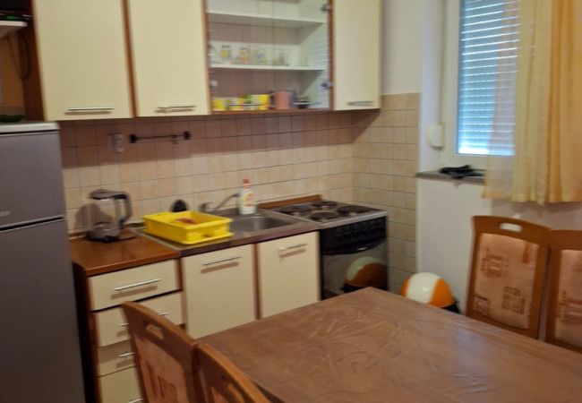 Apartment in Lopar - Apartment in Lopar with Balcony, Air condition, WIFI, Washing machine (696-8)