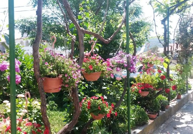 Apartment in Lopar - Apartment in Lopar with Terrace, Air condition, WIFI, Washing machine (899-3) Apartment in Lopar - Apartment in Lopar with Terrace, Air condition, WIFI, Washing machine (899-3)