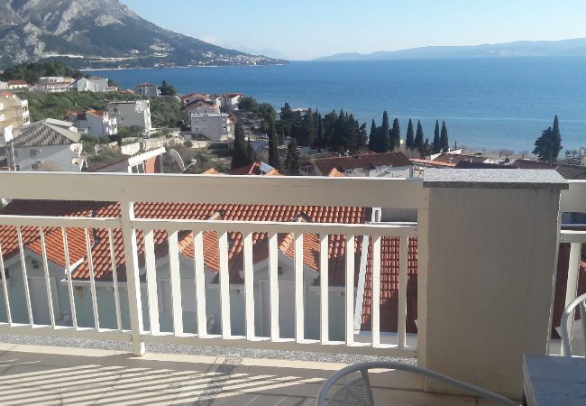 Apartment in Duce - Apartment in Duće with Seaview, Terrace, Air condition, WIFI (900-2) Apartment in Duce - Apartment in Duće with Seaview, Terrace, Air condition, WIFI (900-2)