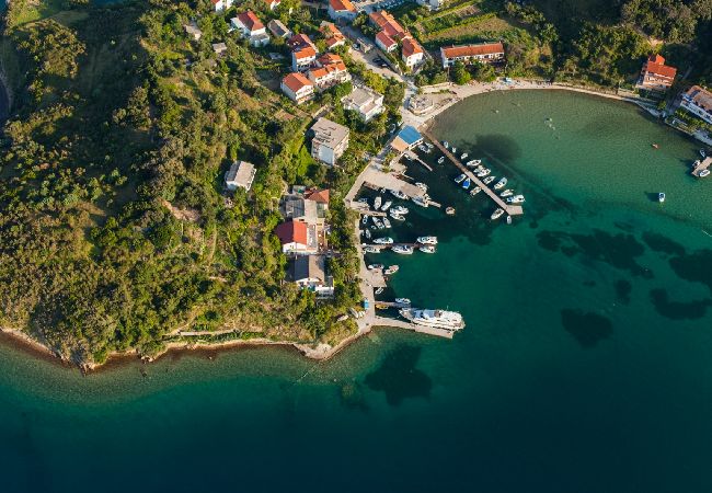 Apartment in Supetarska Draga - Apartment in Supetarska Draga with Seaview, Balcony, Air condition, WIFI (3321-1) Apartment in Supetarska Draga - Apartment in Supetarska Draga with Seaview, Balcony, Air condition, WIFI (3321-1)