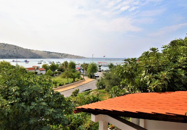 Apartment in Lopar - Apartment in Lopar with Air condition, WIFI (613-3) Apartment in Lopar - Apartment in Lopar with Air condition, WIFI (613-3)