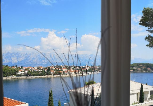 House in Sumartin - Holiday Home in Sumartin with Seaview, Air condition, WIFI, Washing machine (682-2) House in Sumartin - Holiday Home in Sumartin with Seaview, Air condition, WIFI, Washing machine (682-2)