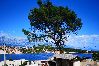House in Sumartin - Holiday Home in Sumartin with Seaview, Air condition, WIFI, Washing machine (682-2) House in Sumartin - Holiday Home in Sumartin with Seaview, Air condition, WIFI, Washing machine (682-2)
