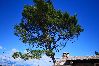 House in Sumartin - Holiday Home in Sumartin with Seaview, Air condition, WIFI, Washing machine (682-2) House in Sumartin - Holiday Home in Sumartin with Seaview, Air condition, WIFI, Washing machine (682-2)