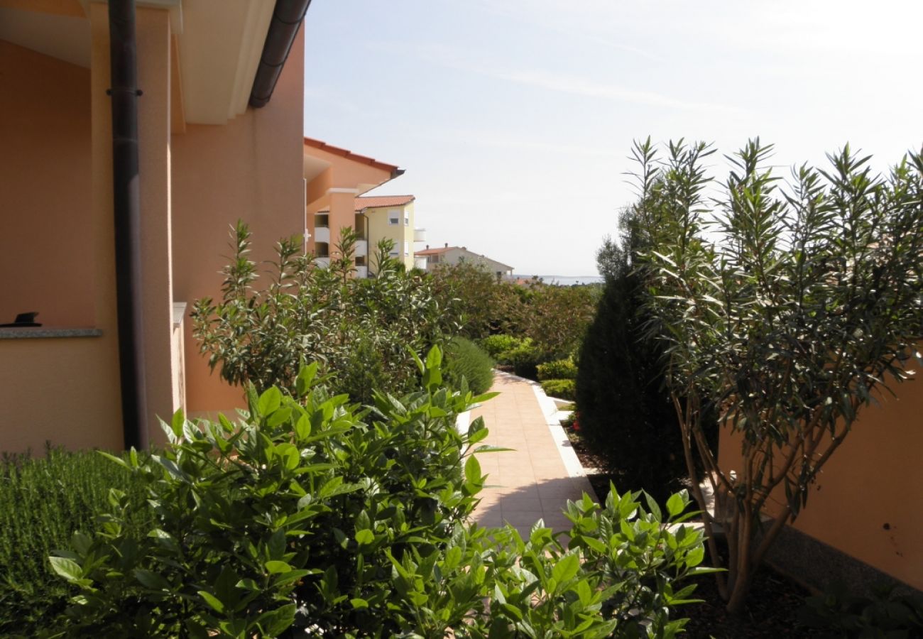 Apartment in Premantura - Apartment in Premantura with Terrace, Air condition, WIFI, Washing machine (3352-26)