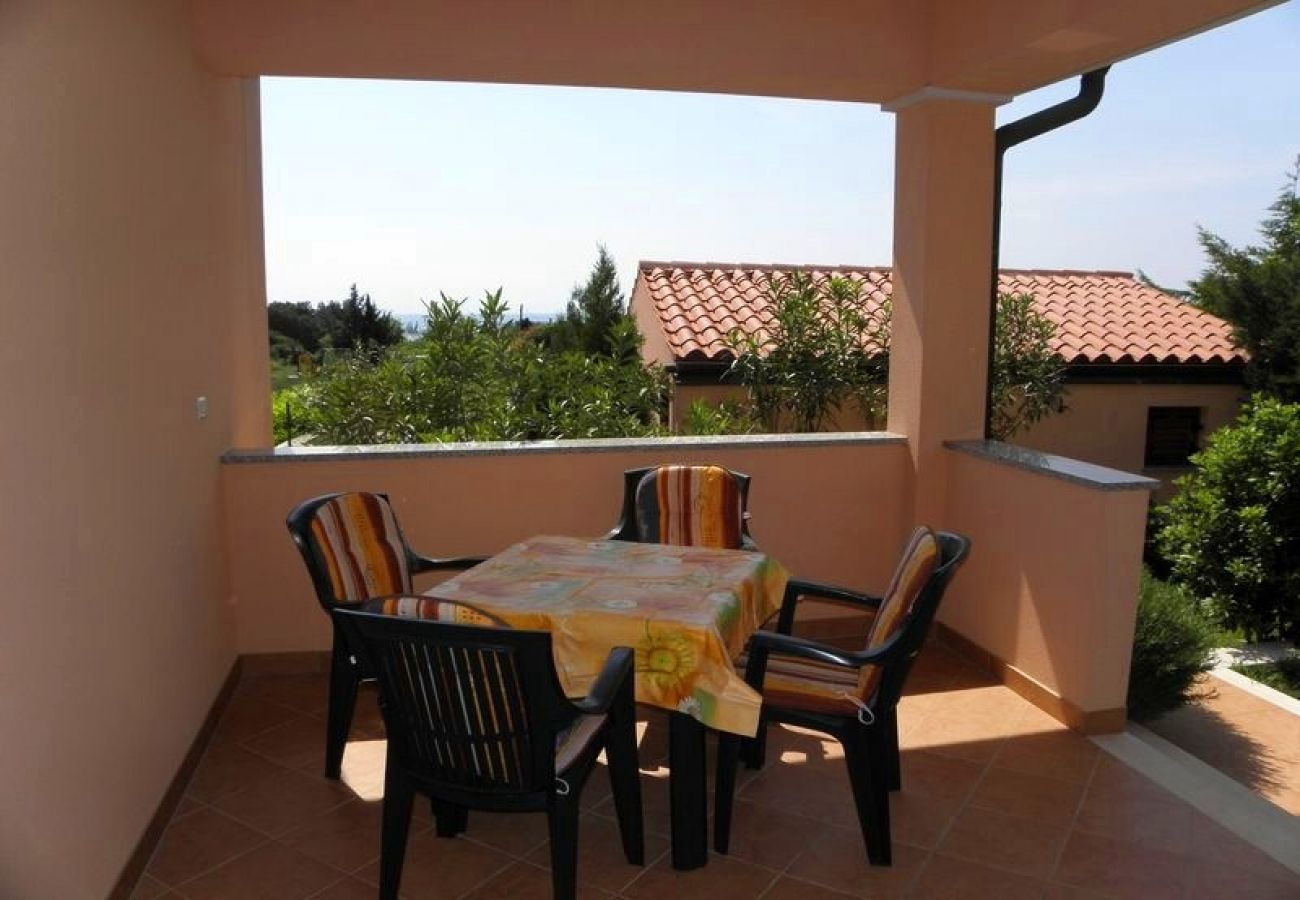 Apartment in Premantura - Apartment in Premantura with Terrace, Air condition, WIFI, Washing machine (3352-27)