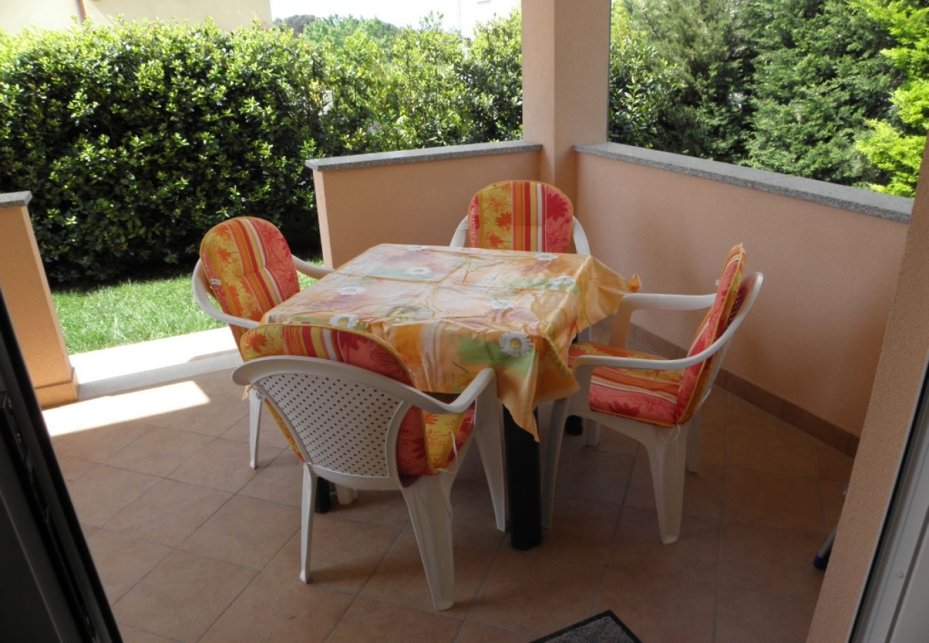 Apartment in Premantura - Apartment in Premantura with Terrace, Air condition, WIFI, Washing machine (3352-28)