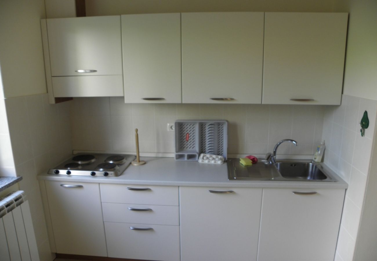 Apartment in Premantura - Apartment in Premantura with Terrace, Air condition, WIFI, Washing machine (3352-28)