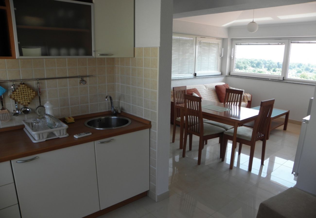 Studio in Premantura - Studio apartment in Premantura with Seaview, Air condition, WIFI, Washing machine (3352-30)