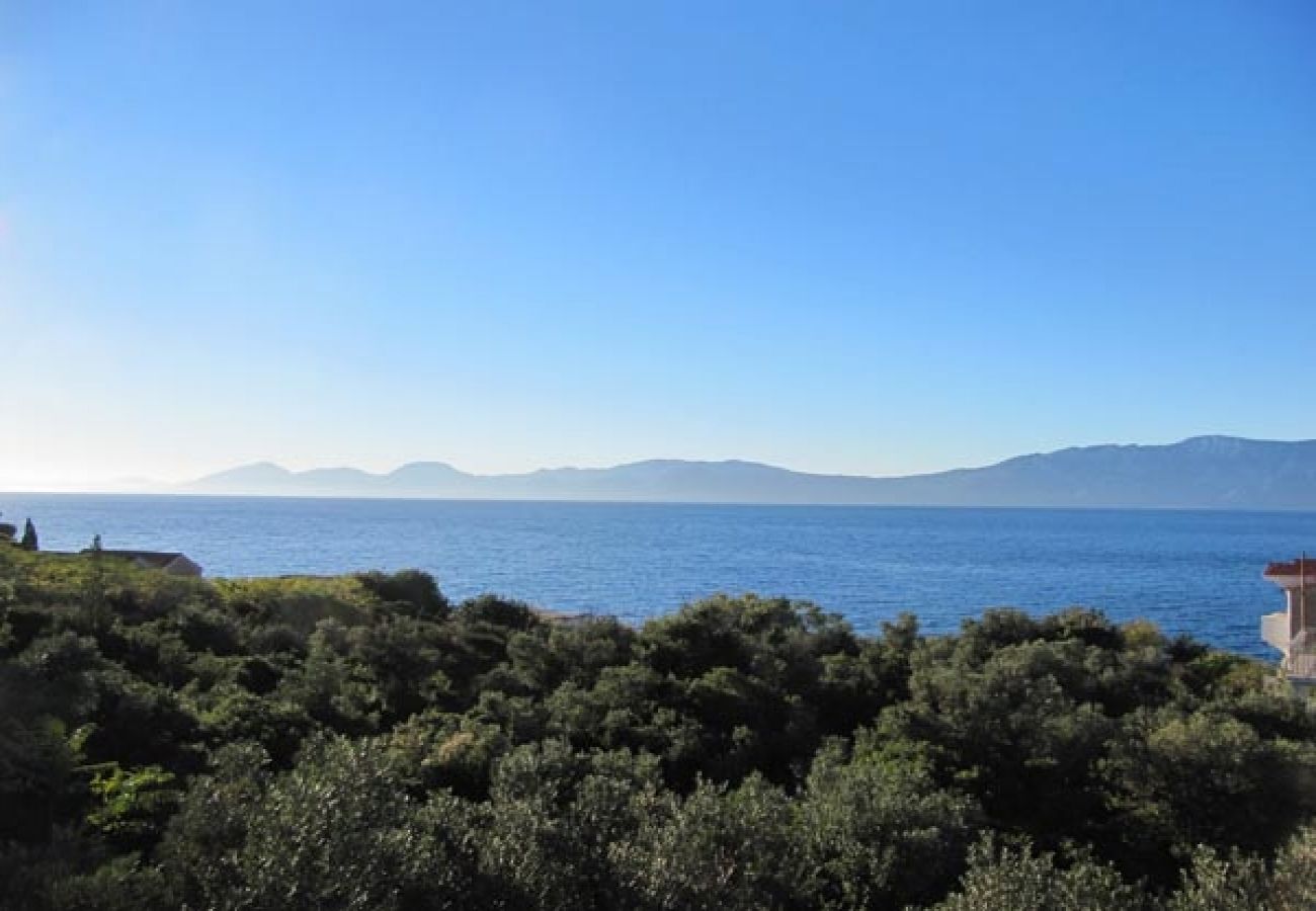 Apartment in Sucuraj - Apartment in Sućuraj with Seaview, Terrace, Air condition, WIFI (3354-1)