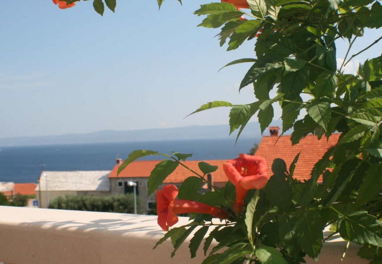 Apartment in Bol - Apartment in Bol with Seaview, Balcony, Air condition, WIFI (3417-4)