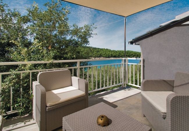 House in Vela Luka - Robinson home in Vela Luka with Seaview, Terrace, Air condition, WIFI (3439-1) House in Vela Luka - Robinson home in Vela Luka with Seaview, Terrace, Air condition, WIFI (3439-1)