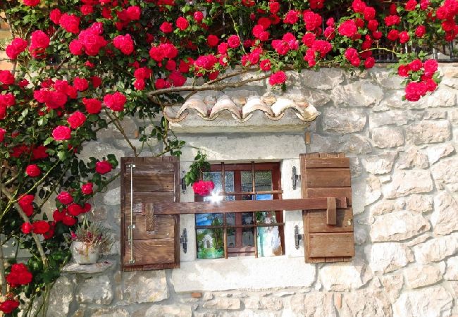 House in Roc - Holiday Home in Roč with Terrace, Air condition, WIFI, Washing machine (3458-1) House in Roc - Holiday Home in Roč with Terrace, Air condition, WIFI, Washing machine (3458-1)