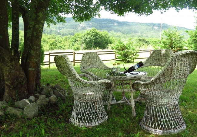 House in Roc - Holiday Home in Roč with Terrace, Air condition, WIFI, Washing machine (3458-1) House in Roc - Holiday Home in Roč with Terrace, Air condition, WIFI, Washing machine (3458-1)