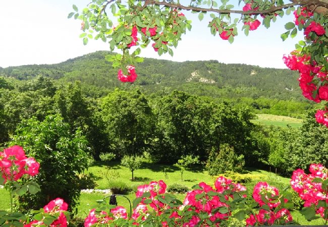 House in Roc - Holiday Home in Roč with Terrace, Air condition, WIFI, Washing machine (3458-1) House in Roc - Holiday Home in Roč with Terrace, Air condition, WIFI, Washing machine (3458-1)
