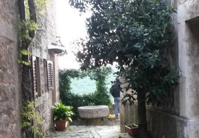 House in Roc - Holiday Home in Roč with Terrace, Air condition, WIFI, Washing machine (3458-1) House in Roc - Holiday Home in Roč with Terrace, Air condition, WIFI, Washing machine (3458-1)