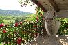 House in Roc - Holiday Home in Roč with Terrace, Air condition, WIFI, Washing machine (3458-1) House in Roc - Holiday Home in Roč with Terrace, Air condition, WIFI, Washing machine (3458-1)
