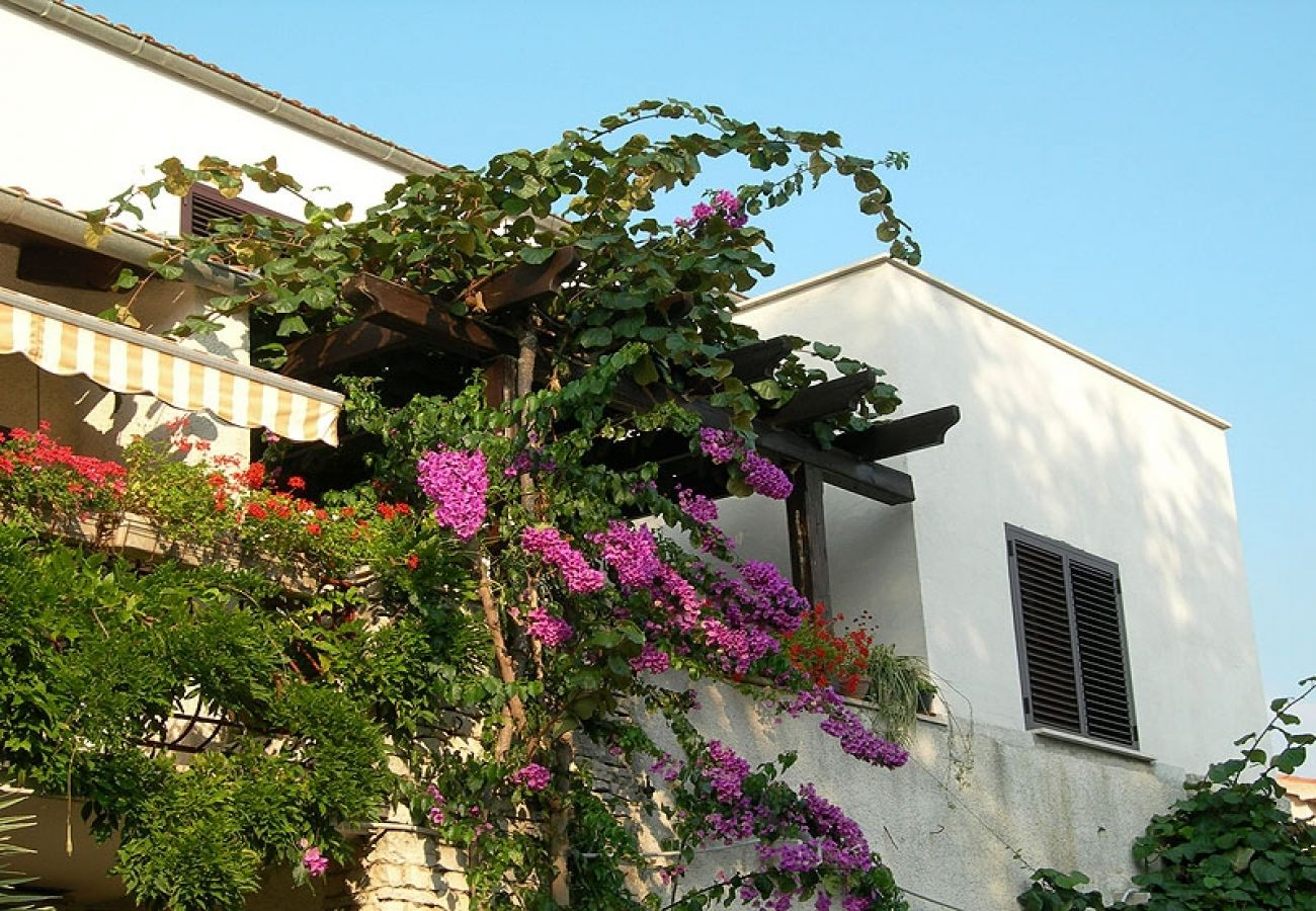 Apartment in Rovinj - Apartment in Rovinj with Terrace, Air condition, WIFI, Washing machine (3482-3)